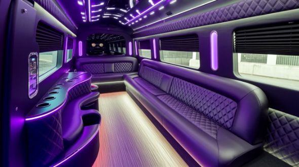 santa monica sprinter limo rental inside